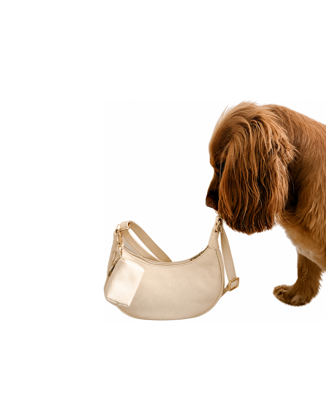 The Bag (PRE-ORDER)